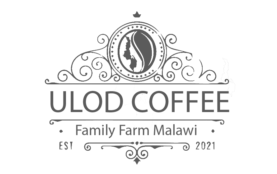 Ulod Coffee